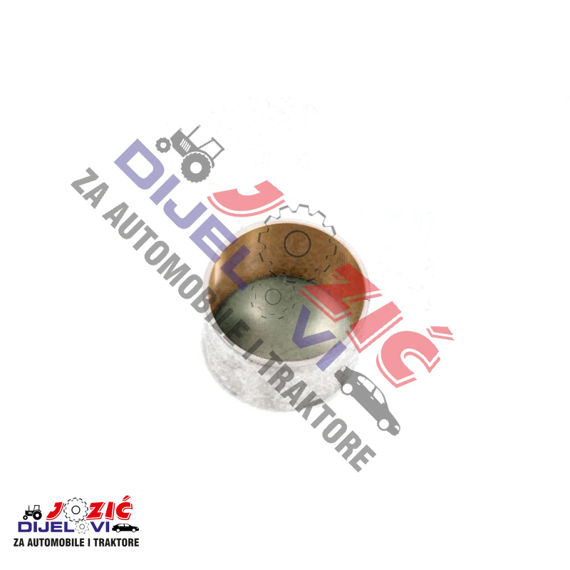 Daisy on the Ohoopee